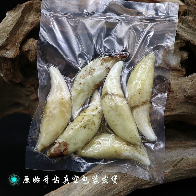 0cm 一颗加粗玉石线(可调节)