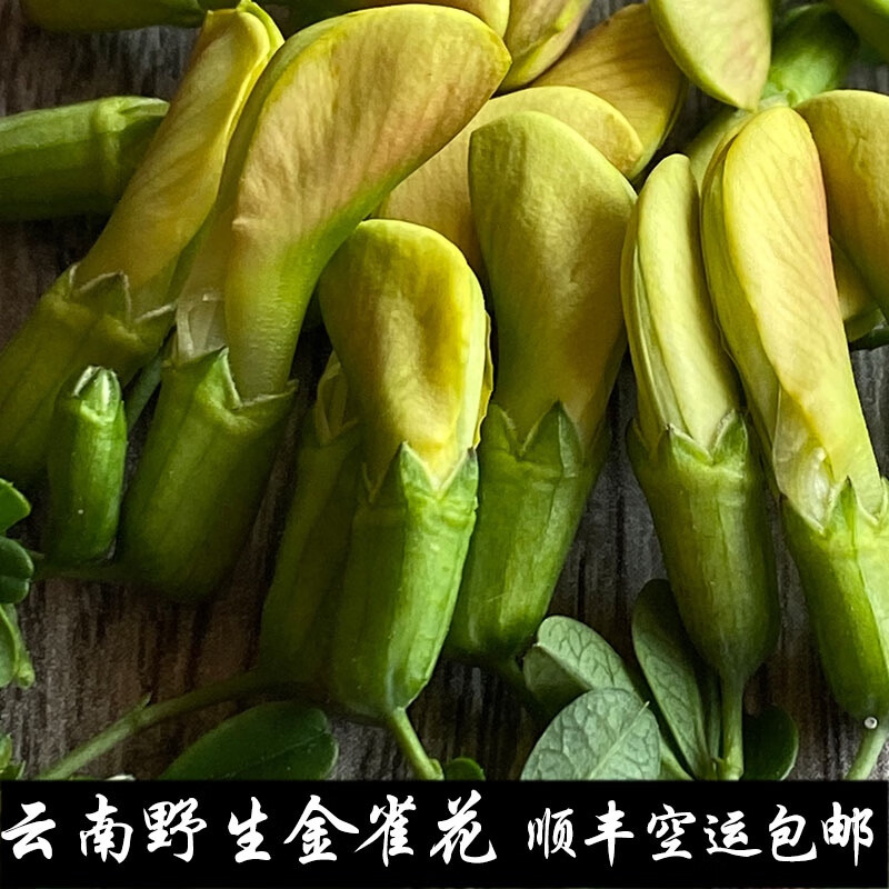 教蔬鲜生金雀花 鹅嘴花 阳雀花 现摘野生云南食用鲜花   黄雀花 锦鸡