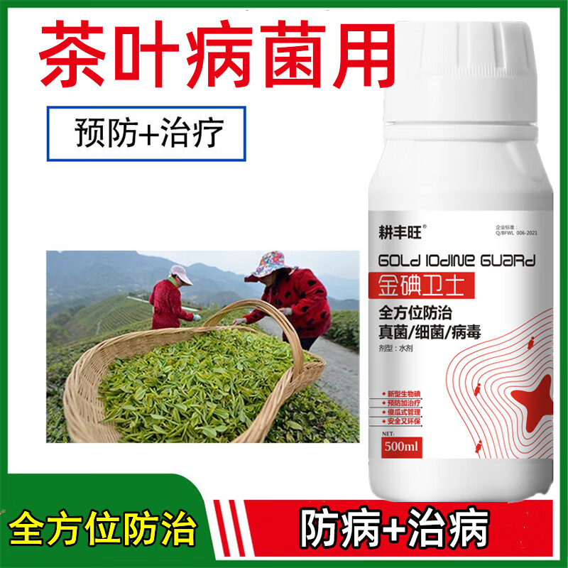 病全治茶树治病药叶枯病轮斑病叶斑病炭疽病茶霉病褐斑病赤星 茶叶病