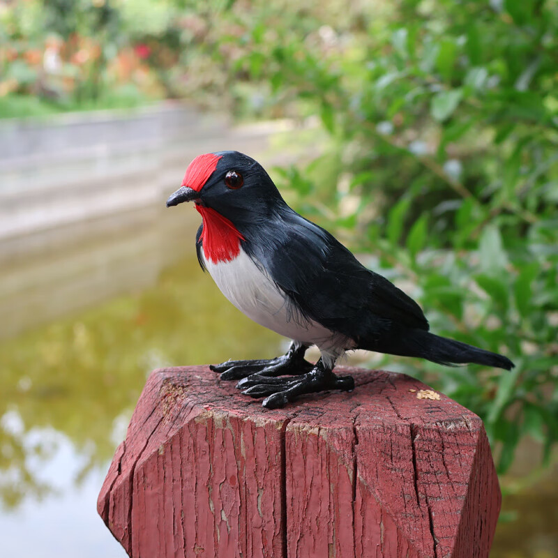 日玖婷诗仿真小燕子模型羽毛鸟类动物饰品展翅飞翔金丝燕摆件拍摄影视