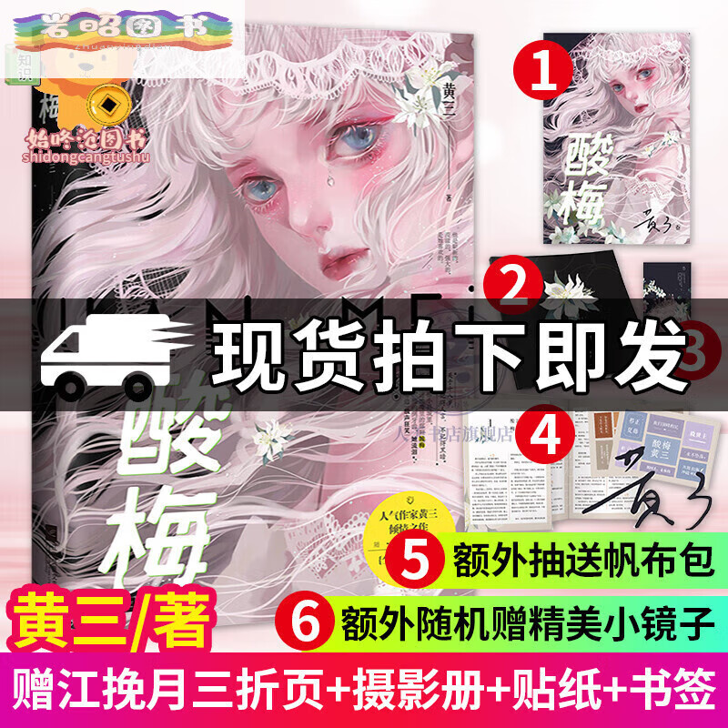 印签版】酸梅小说 官方正版酸梅实体书 痛仰作者黄三关于十八岁校园