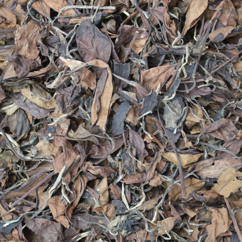 福鼎白茶高山老寿眉枣香茶叶品鉴茶500g日晒茶叶散装茶叶