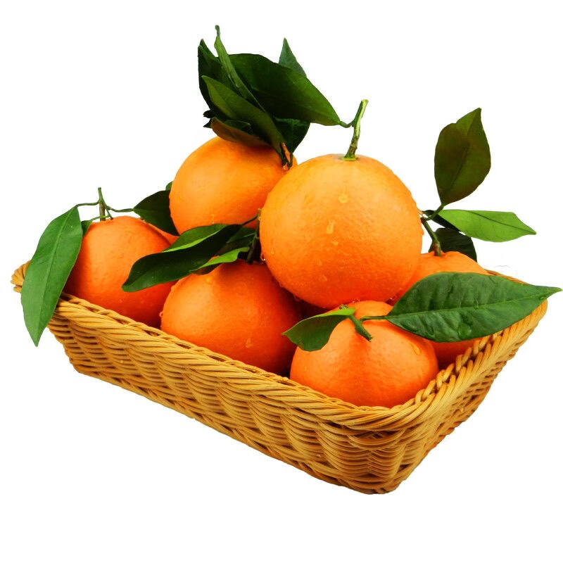 逮果奉节脐橙橙子新鲜现摘水果甜橙整箱 10斤装 单果230g+ 净重9.3斤