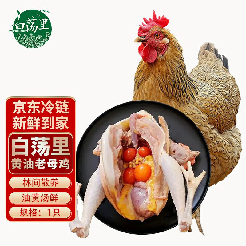 白荡里黄油老母鸡2~2.2斤*1只  走地鸡月子鸡营养滋补食材 源头直发