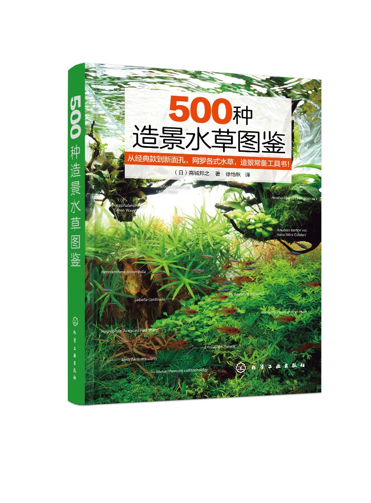 500种造景水草图鉴