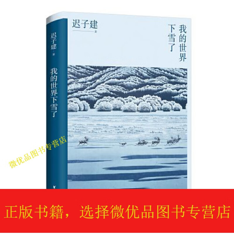 我的世界下雪了（迟子建散文系列）