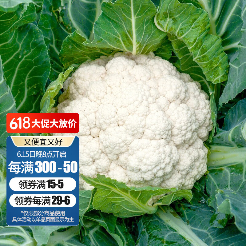 寿禾 菜花种子早熟白菜花蔬菜花菜花椰菜种籽实花 小菜园白菜花 200粒