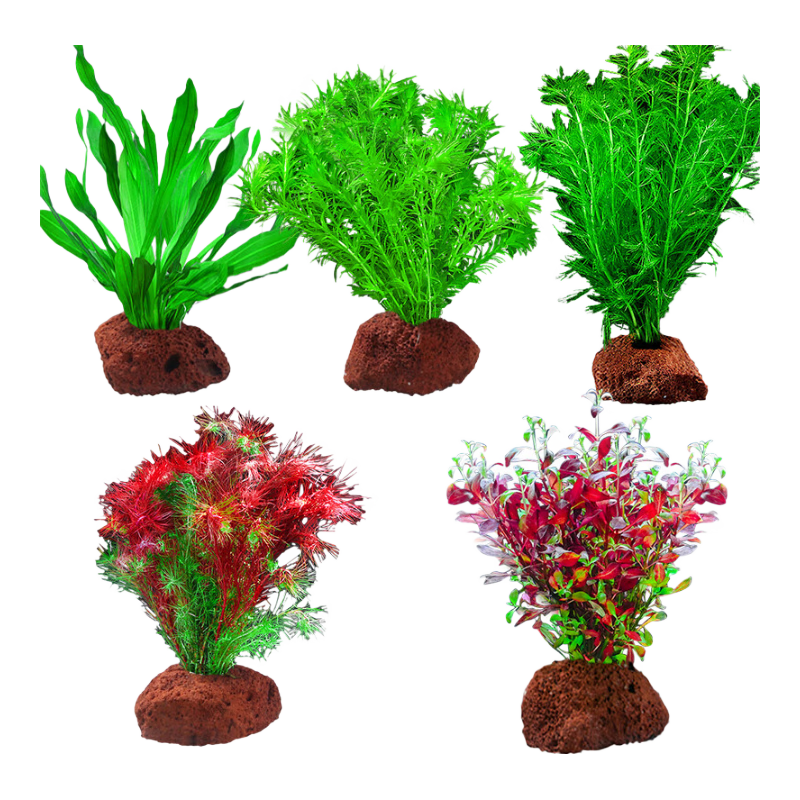 ���ڲ��������ˮ�������ˮ���쾰�ײ�ˮ��ֲ��ֱ����׳ɾ�20-30��Դͷֱ������