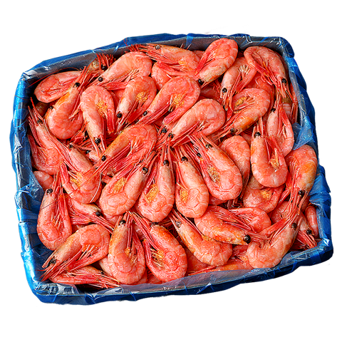 ڲ ڸѱϺ912 3/-Դͷֱ 84Ԫ