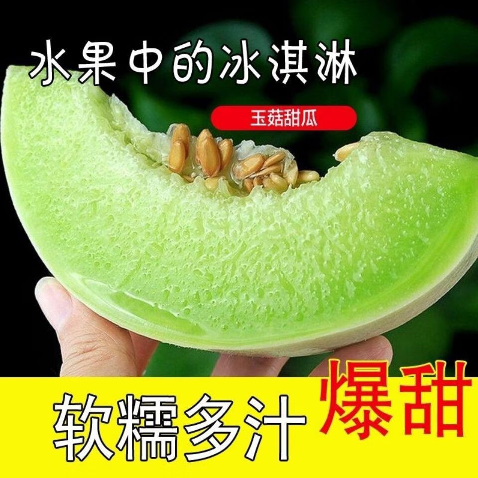 果迎鲜玉菇甜瓜 新鲜水果 海南冰淇淋香瓜 净果4.5斤整箱5斤