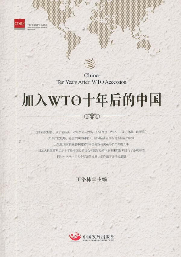 加入wto十年后的中国王洛林中国发展出版社9787802347816 经济书籍