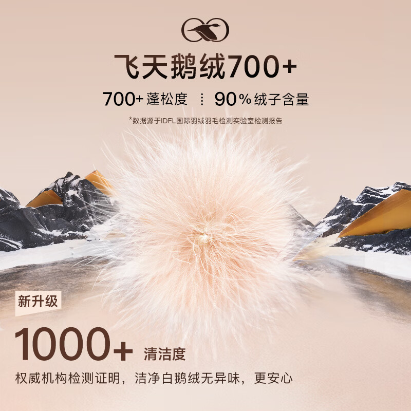 高梵黑金鹅绒服机能3.0六格男女同款冬装长款厚羽绒服 黑色 S