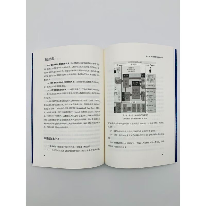 DAMA数据管理知识体系指南（原书第2版）+穿越数据的迷宫：数据管理执行指南+一本书讲透数据治理：战略、方法、工具与实践3本