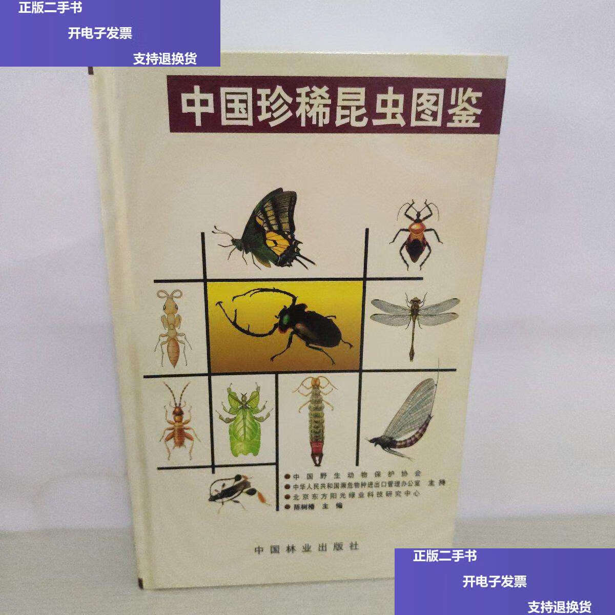 【二手9成新】中国珍稀昆虫图鉴 【精装本,铜版彩印】】 /陈树椿 中国