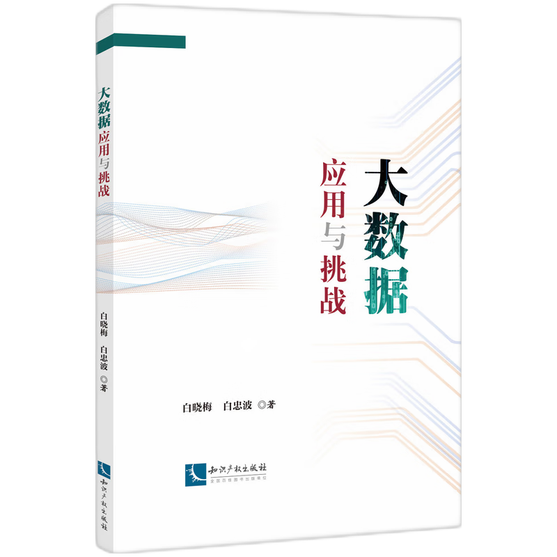 大数据应用与挑战