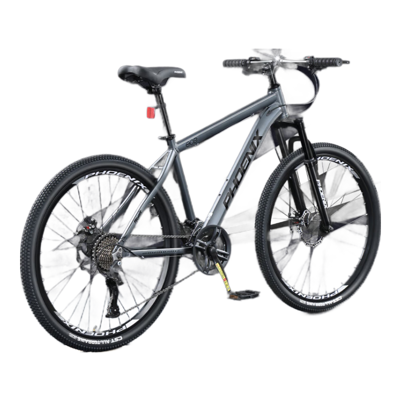 ˣPhoenixɽгŮ˶ͯϽ߳ܵ  2624 729Ԫ