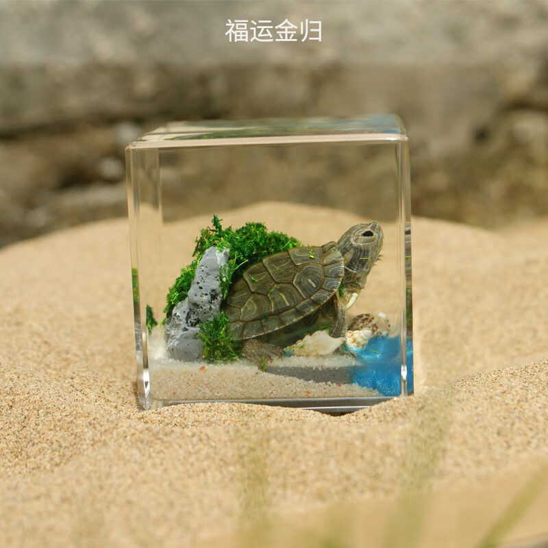 花始 海洋动物昆虫标本微景观摆件创意树脂工艺品幼儿园早教教学礼物