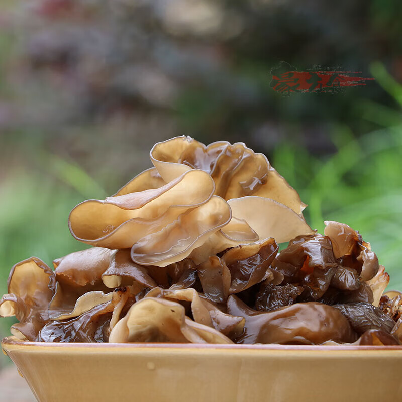軟糯青杠椴木細木耳薄木耳青川黑木耳嫩春云耳四川干貨250g