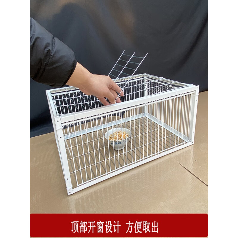 hkml天落笼加密只进不出鸽子笼鸽子活络撞门笼自动收鸽鸽子笼鸽子神器