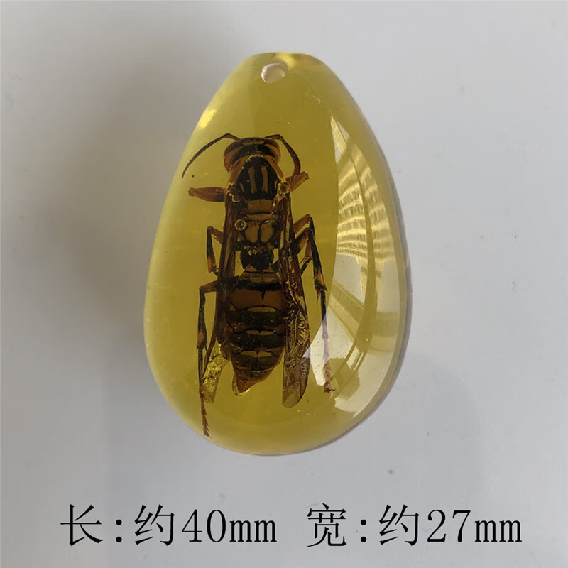 昆虫琥珀标本儿童挖掘考古盲盒虫珀配件学生教学挂件吊 金珀色黄蜂1个