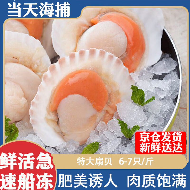 夏威夷贝扇贝贻贝虾夷扇贝海鲜水产鲜活冷冻半壳超大贝壳烧烤清蒸 原味 2斤装