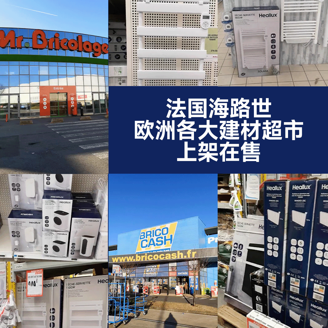 Heallux法国海路世台式电风扇家用充电两用直流静音小型台扇新款桌面落地扇 【直流静音】台式充电长续航风扇