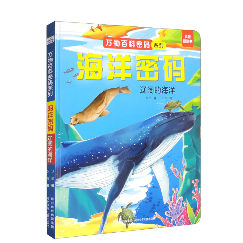 海洋密码：辽阔的海洋 