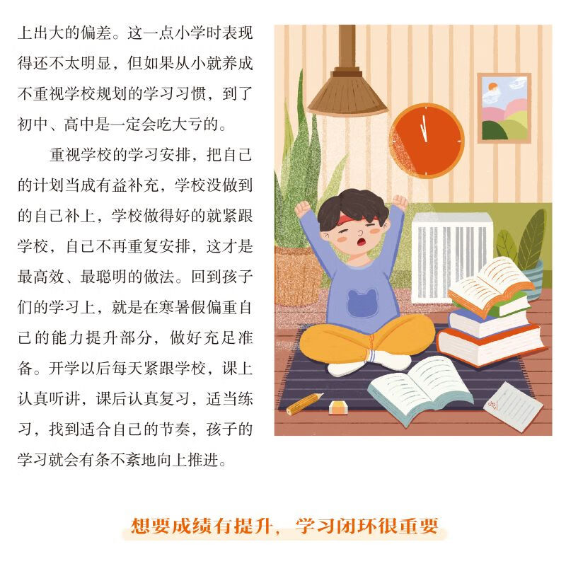 拿来就用的小学6年学习规划 语文数学英语学习方法习惯养成书籍 拿来就用的小学6年学习规划 无规格