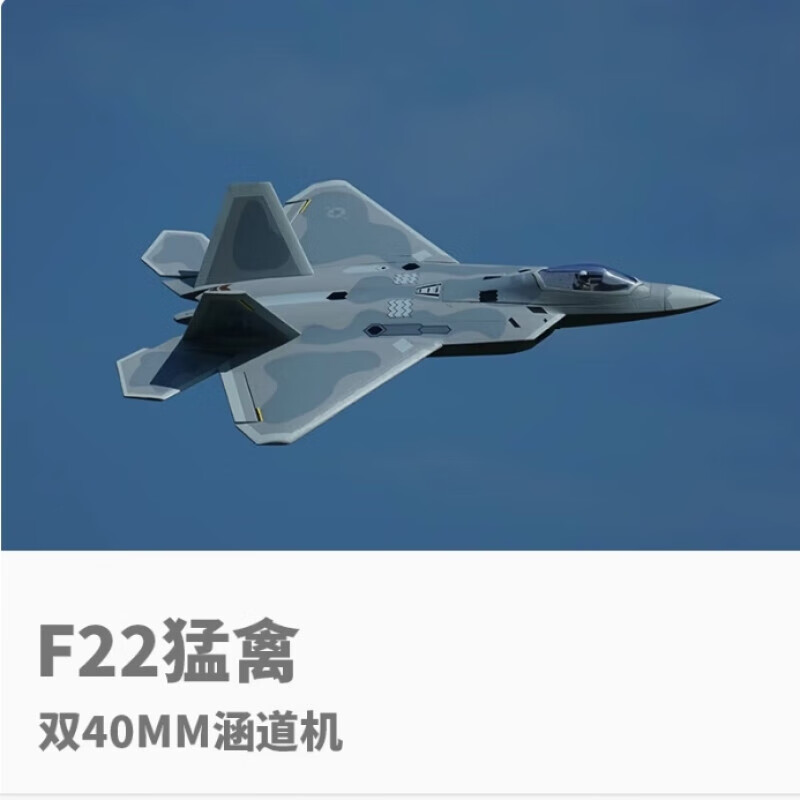 BILLY RICE成人固定翼涵道航模飛機電動渦噴50涵道遙控模型遙控飛機 灰色(右手油門) 整機+備用電池+模擬器