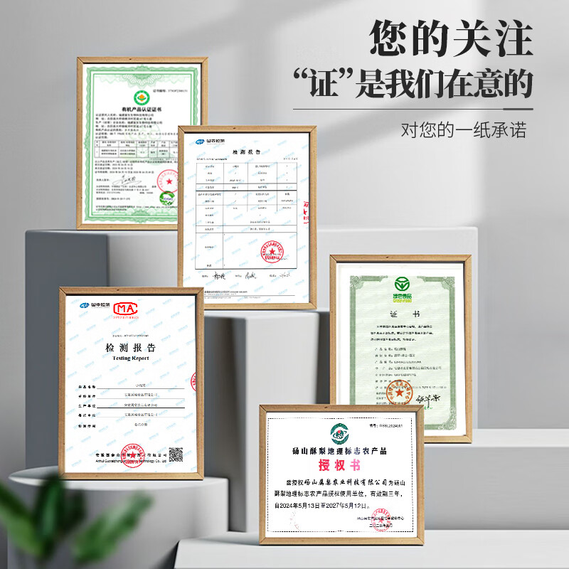 兴农嫂枇杷炖梨即食小碗梨鲜炖整颗梨胖东来水果罐头年货礼盒过年送礼 陈皮枇杷整颗梨250g*2碗