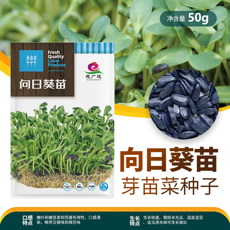 京农研芽苗菜种子水培菜小麦草豌豆松柳油葵香椿苗绿豆芽西蓝花苗花生