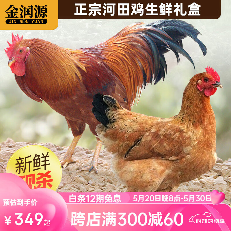 飞鸡礼盒装 节日送礼 农家散养土鸡新鲜现杀整鸡 小母鸡 150天 老阉鸡