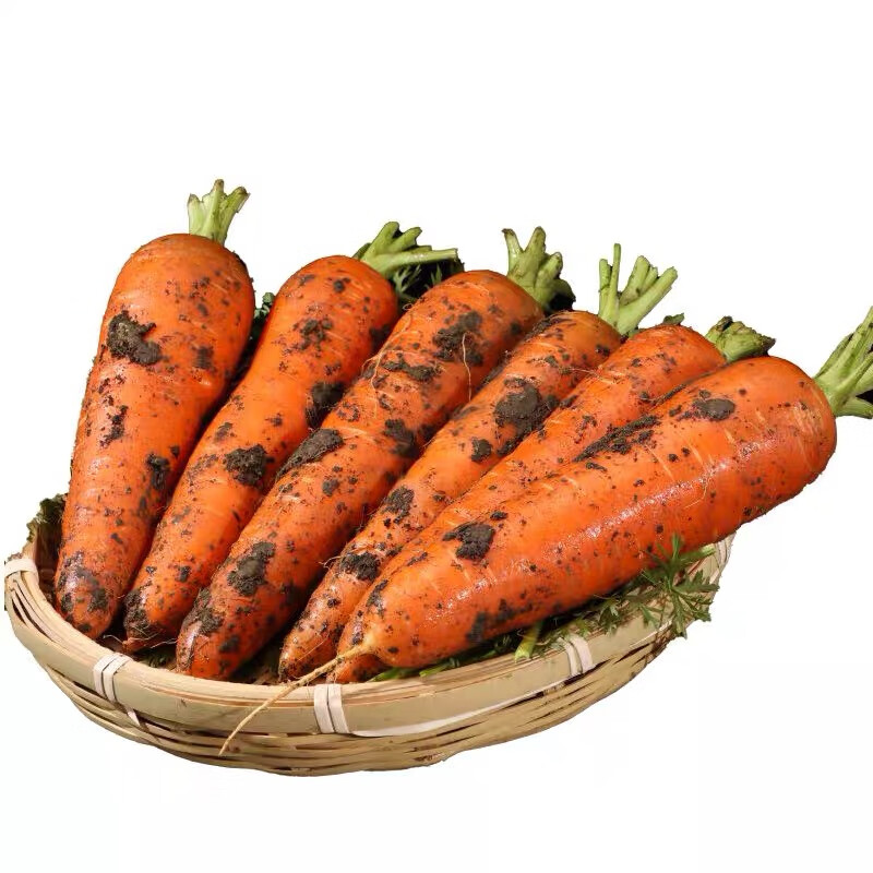 京地达山东新鲜胡萝卜当季脆甜 净重4.5斤 新鲜蔬菜带泥发货 源头直发