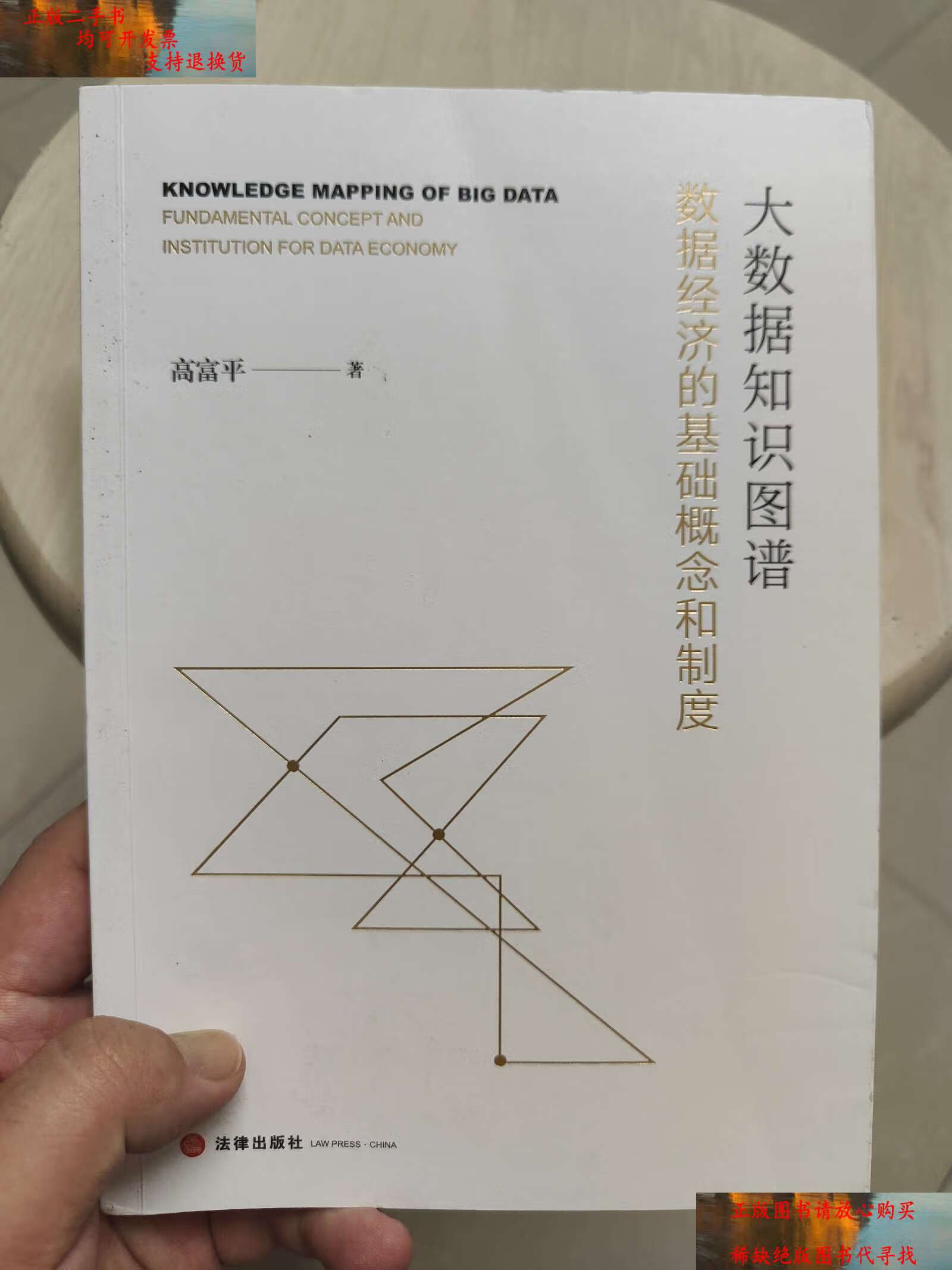 【二手书9成新】大数据知识图谱:数据经济的基础概念和制度 /高富平