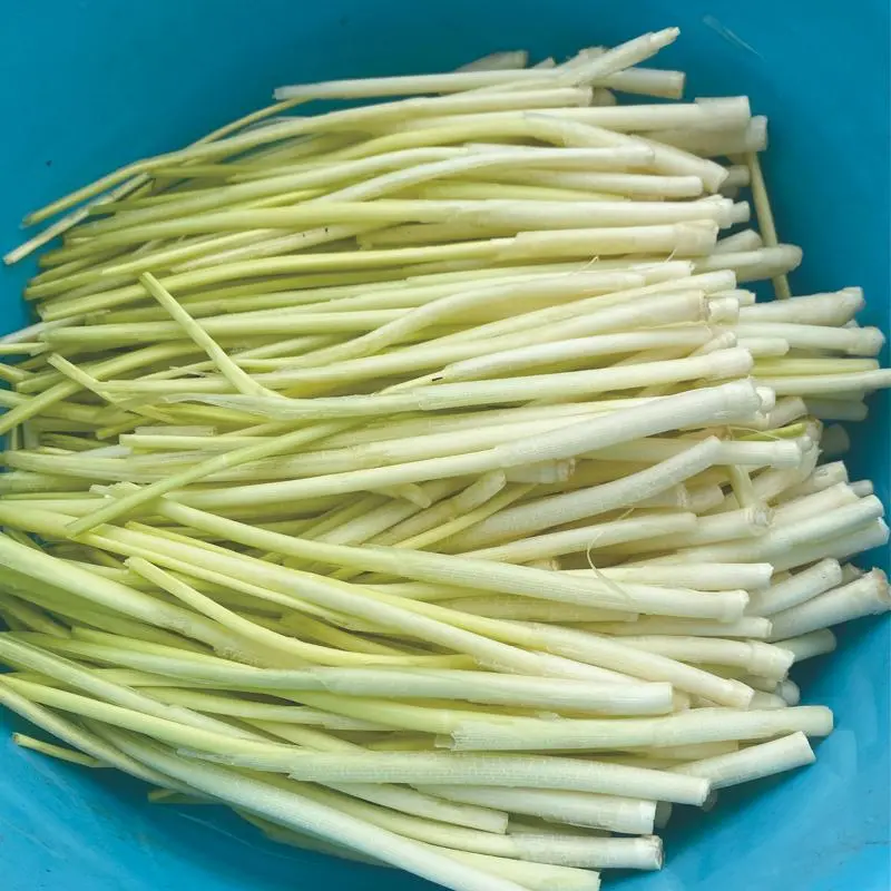 野生蒲菜新鲜篙菜蒲儿高菜蒲笋草心野生茭白 1斤