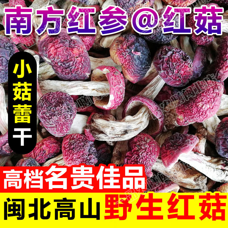 禾澹福建南平正红菇蓝底红蘑菇小菇干武夷山特产月子补品 100g