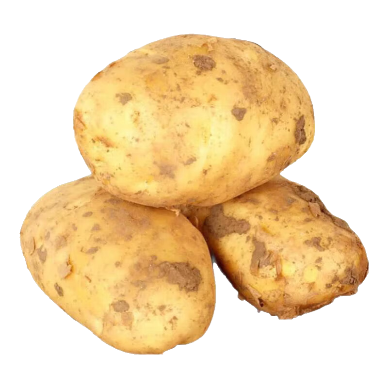 【东东农场专供】25年山东新鲜土豆黄心黄皮马铃薯黄心土豆蔬菜 黄皮黄心土豆 2斤 净重 中大果