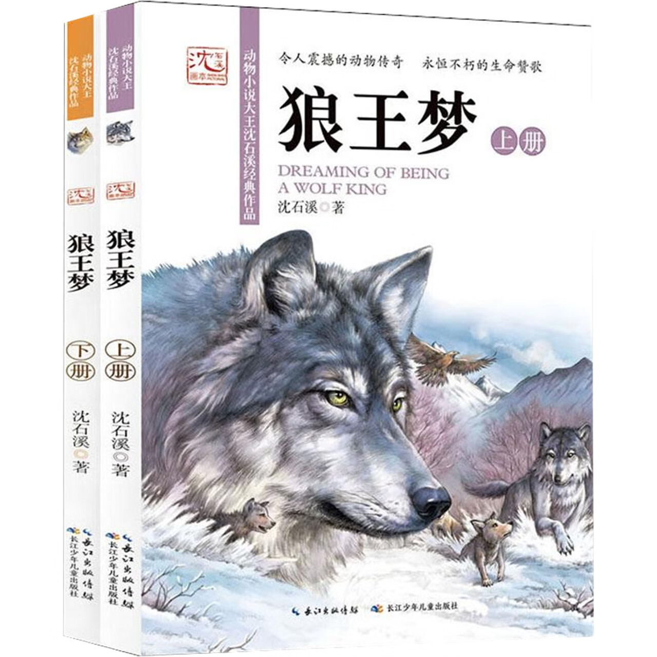 狼王梦上下册动物传奇学生经典课外阅读少儿儿童文学读物绘本