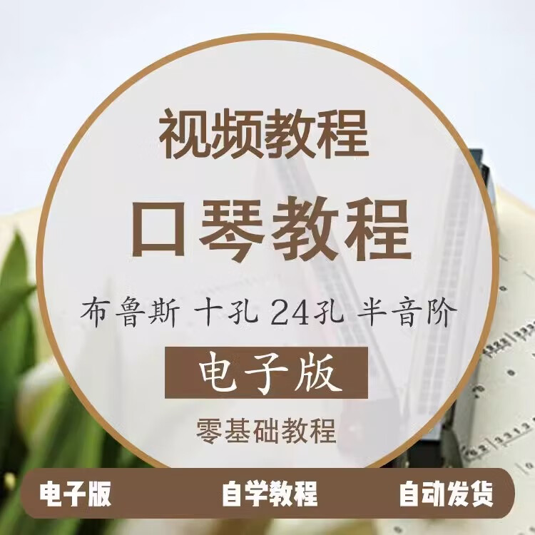 口琴儿童蓝调布鲁斯视频教程少年初学者自学入门教学视频零基础