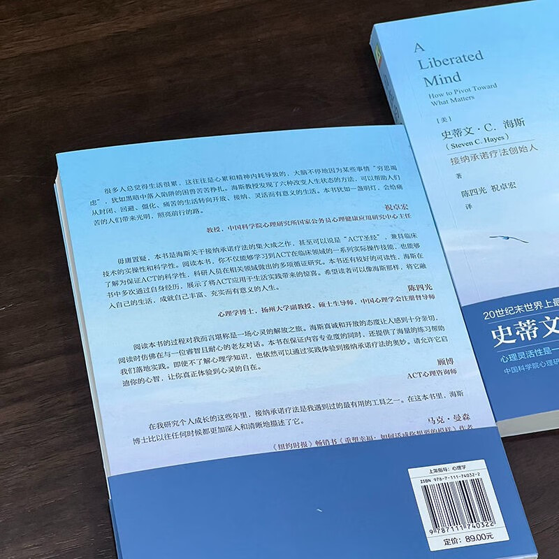 自在的心：摆脱精神内耗，专注当下要事详情图