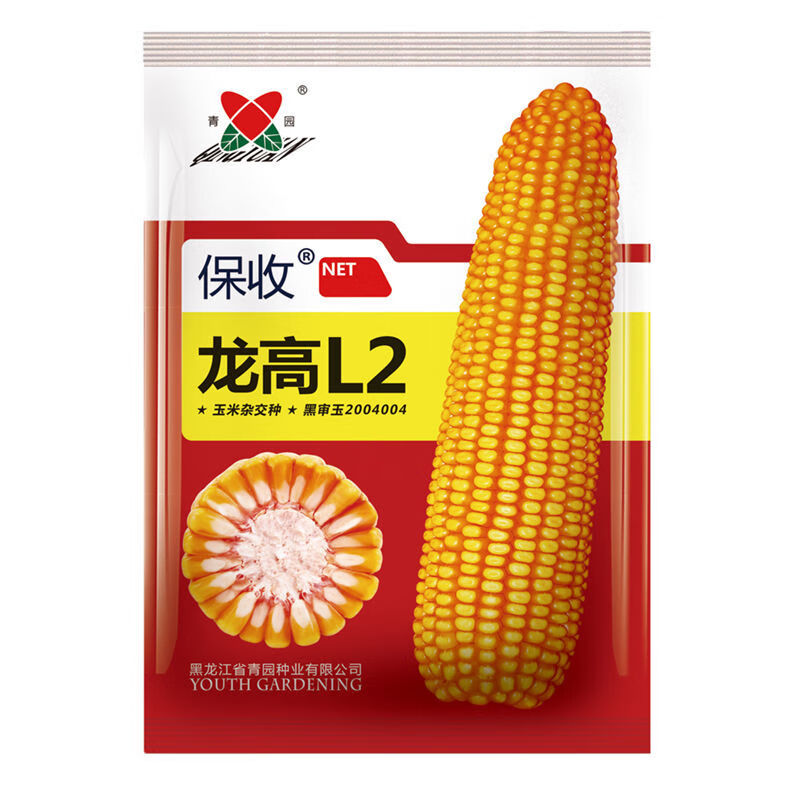 新种龙高l2丰产杂交玉米大田种子种籽抗病抗旱抗倒伏春播夏玉米 龙高