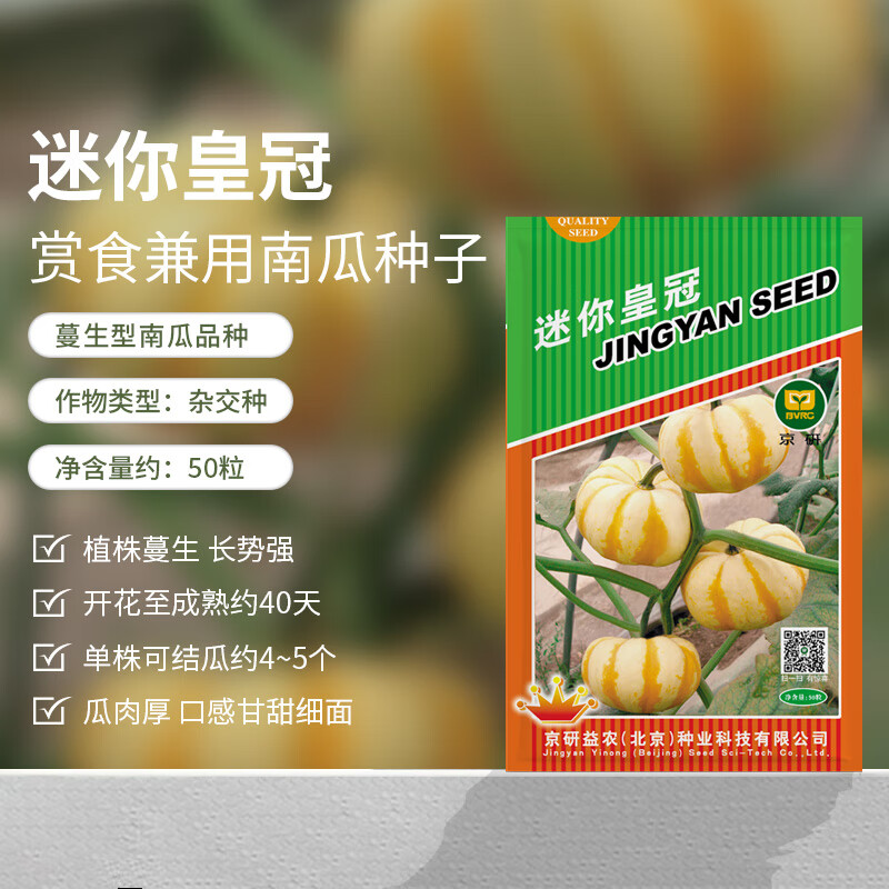 南瓜蜜本南瓜长香栗观赏瓜早熟高产农科院易种蔬菜籽孑 京研迷你皇冠