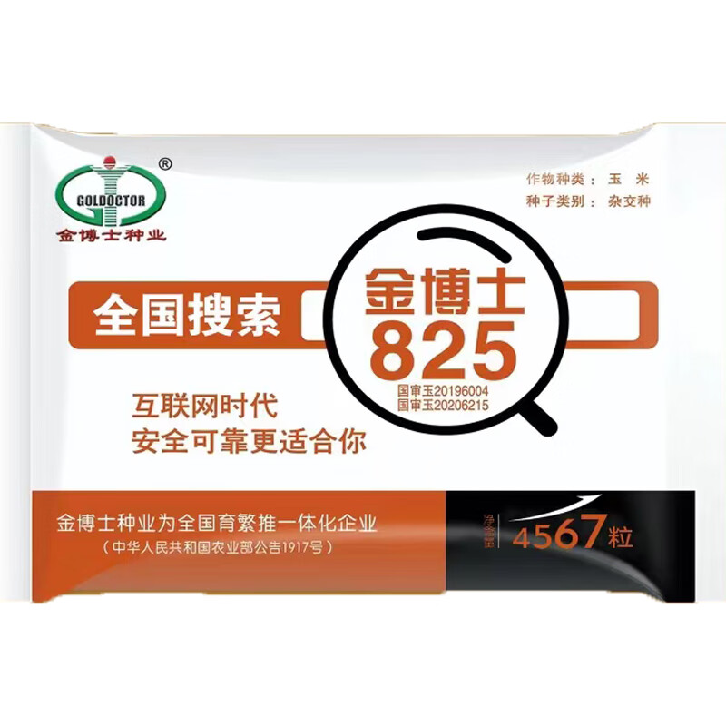 细辛新种金博士825双国审丰产玉米种子小矮杆大粗棒种植抗病抗倒 【金