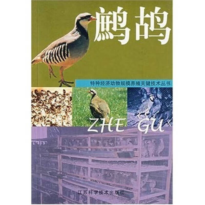 【正版现货】鹧鸪