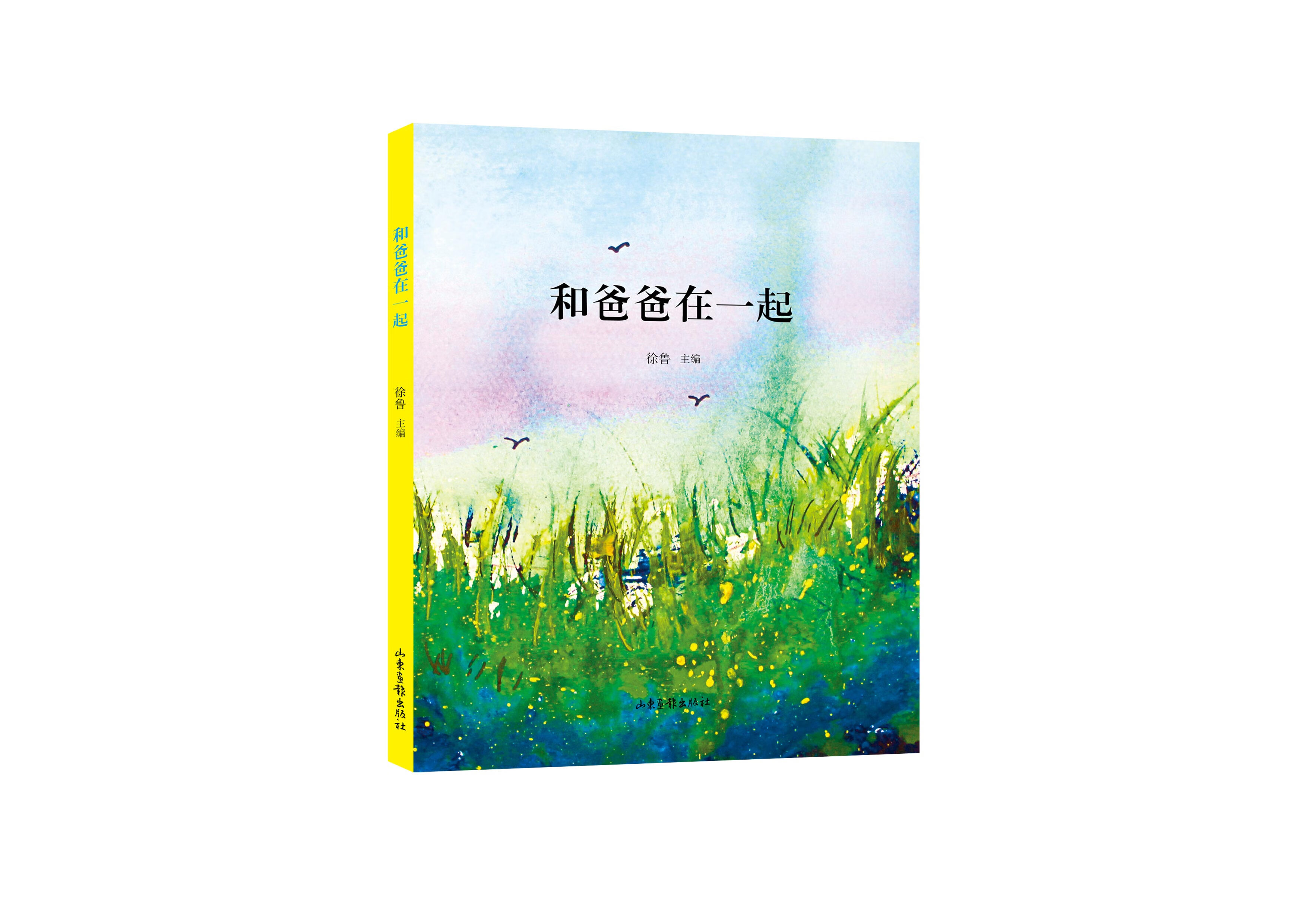 和爸爸在一起 编者:徐鲁 山东画报