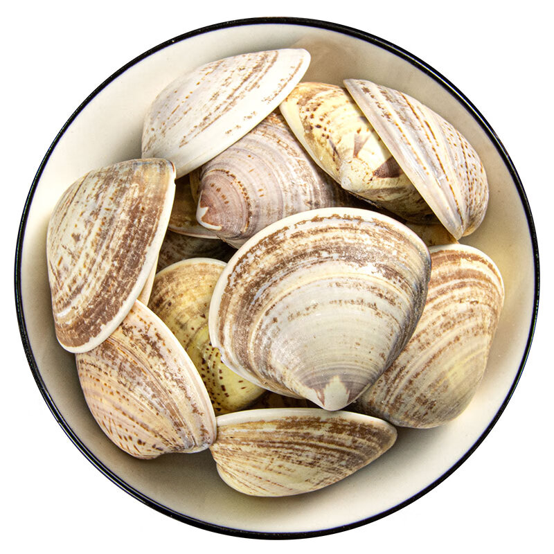 炖煮养生煲汤泡水海蛤壳中药材蛤壳文蛤中药天然蛤蜊壳海蛤海蛤粉 海