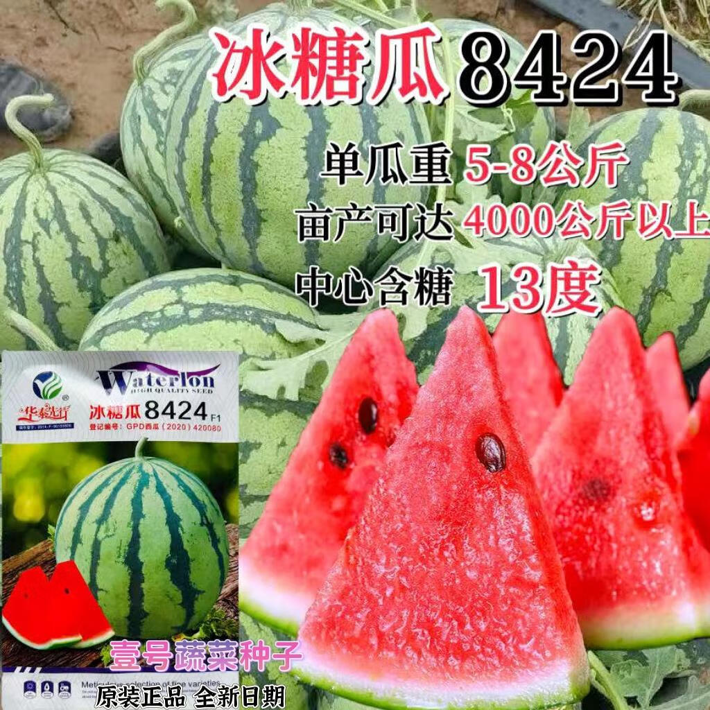 种子耐裂冰糖脆高产西瓜种籽孑抗病丰产中早熟 冰糖瓜8424原装10克