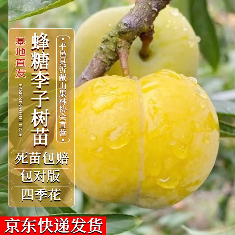 ������ 40000KM �������������������������޽��������ľ��1-2cmԴͷֱ������