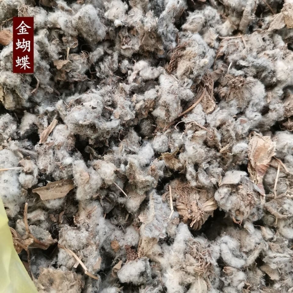 北京同仁堂金蝴蝶中药材 锦罗 文钱红 金线吊芙蓉 落金钱 新鲜干货 金