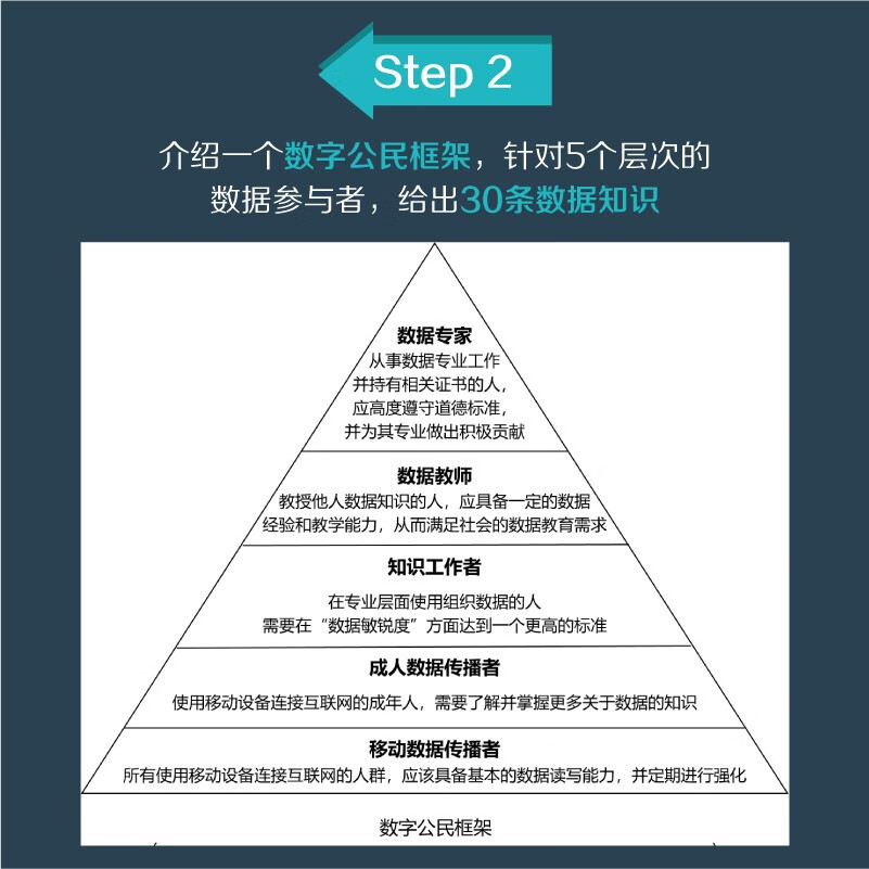 数据素养（异步图书出品）详情图